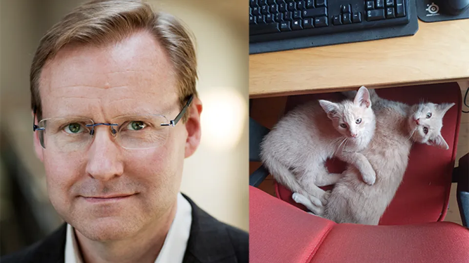 Jörgen Hettne och katterna Bill & Bull som håller koll på kontoret i Skåne.