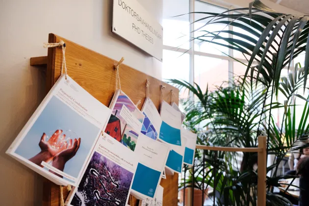 A number of dissertations, nailed to the wall. Photo.