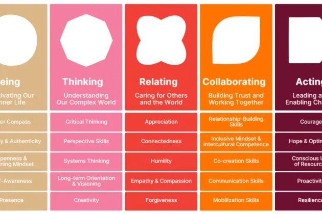 Inner development guide