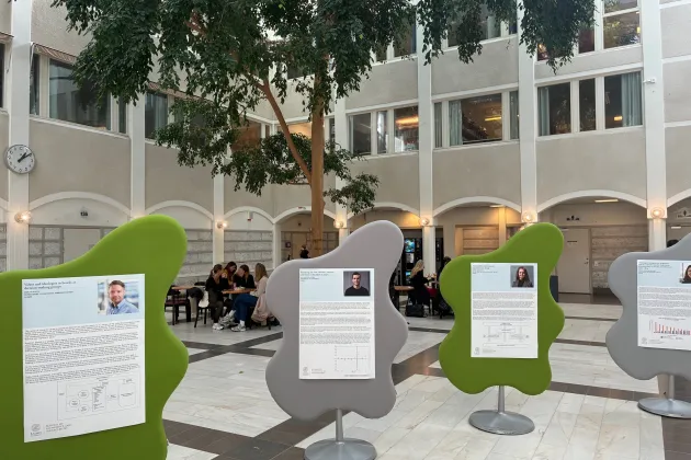 utställning med posters med ett träd i bakgrunden