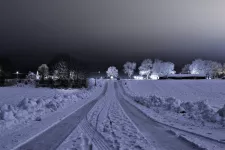 Mindre väg i snötäckt landskap efter mörkrets inbrott med en gård och träd vid horisonten. Foto